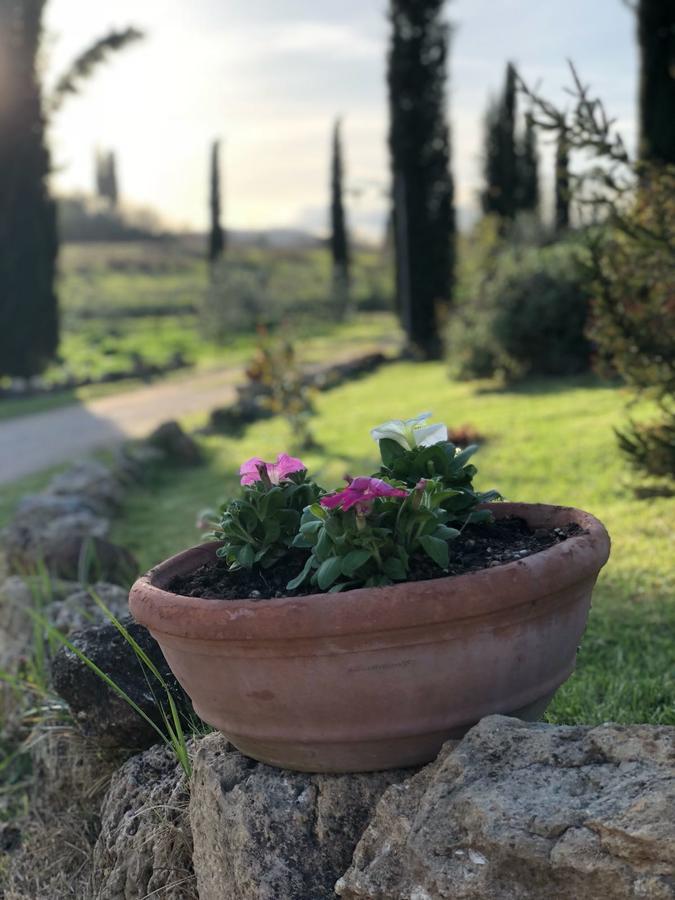 Agriturismo Fonteleccino Villa Chianciano Terme Exterior photo